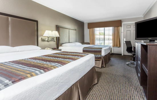Super 8 By Wyndham Mountain View - Guest Room