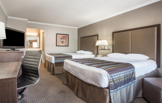 Super 8 By Wyndham Mountain View - Guest Room